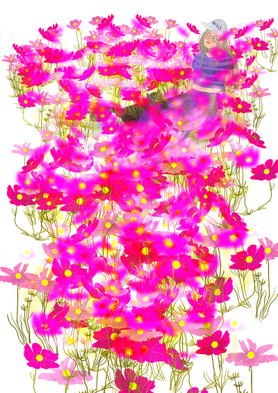 pink flower meadow illustration nature