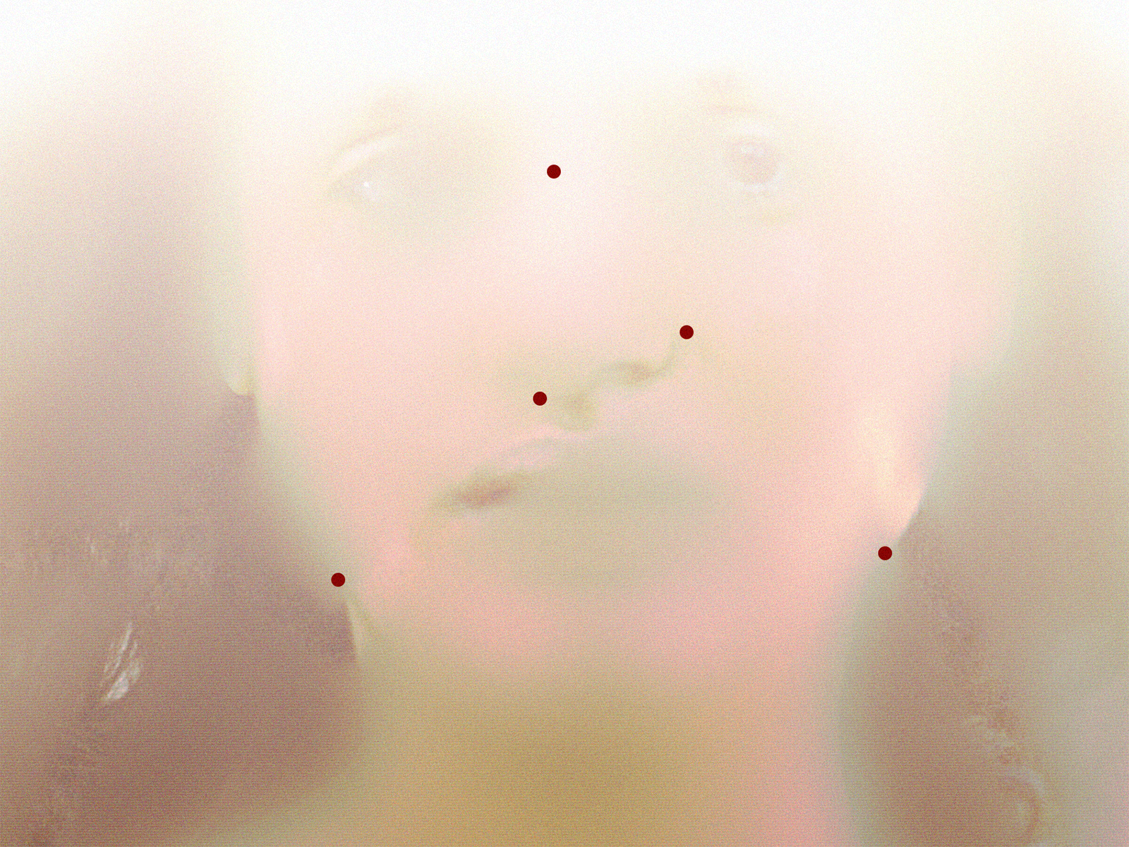 Julia Ducournau’s ‘Alpha’ alpha alpha 2025 alpha movie alpha movie poster alpha movie posters body horror cannes cannes 2025 design designer horror horror fan horror movie julia ducournau movie poster movie posters poster poster art posters
